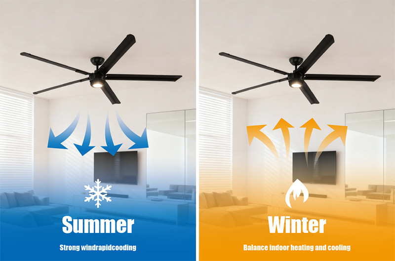 best ceiling fan