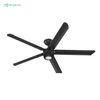 Energy Efficient Modern Ceiling Fan with Lights