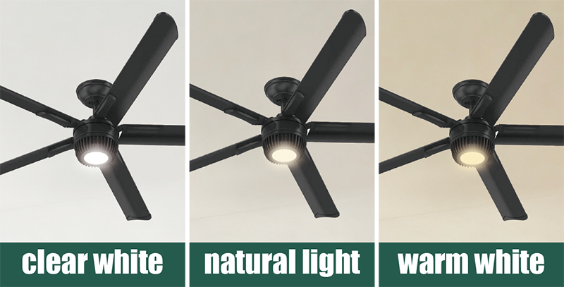 ceiling fan with lights