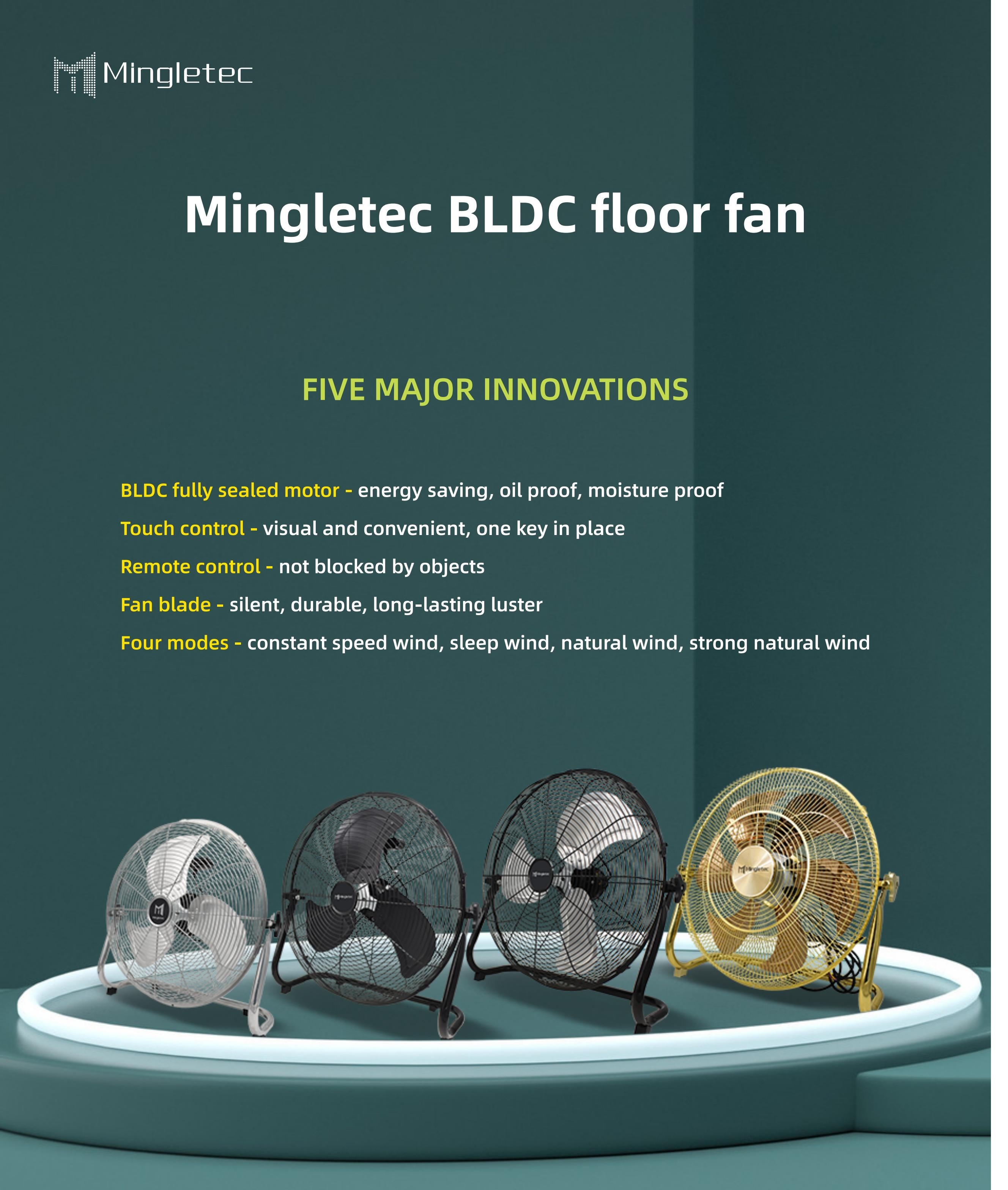 BLDC floor fan poster