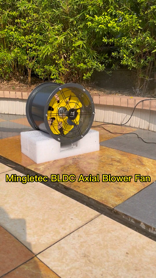12 16 inch high speed BLDC axial fan