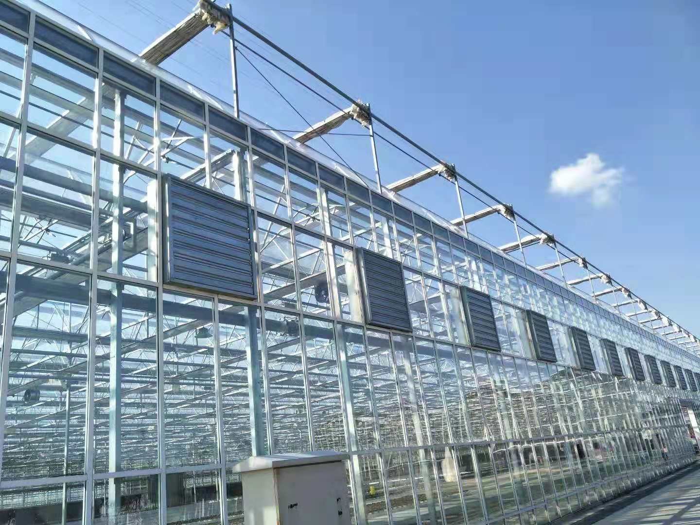 glasshouses