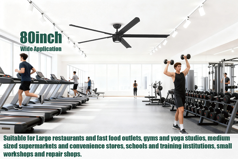 Gyms ceiling fan