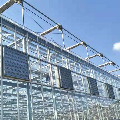 glasshouses_864_864.jpg
