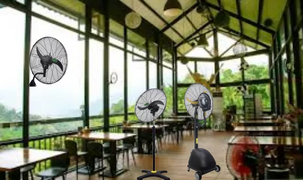 Industrial Fan_735_437.png