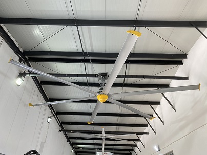 ceiling fan (2)