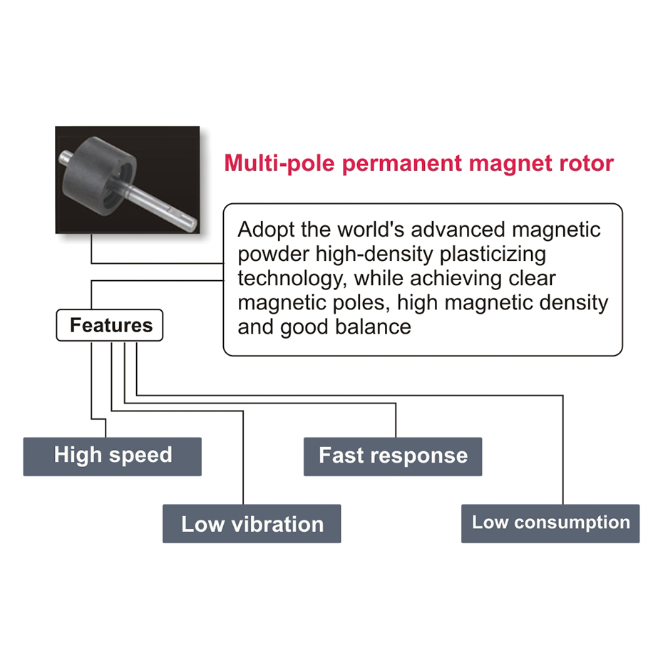 Multi-pole permanent magnet rotor