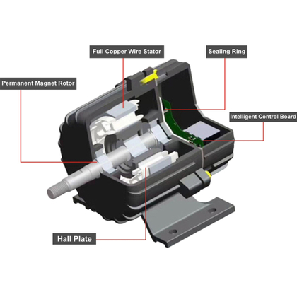 MFJ-motor details.jpg