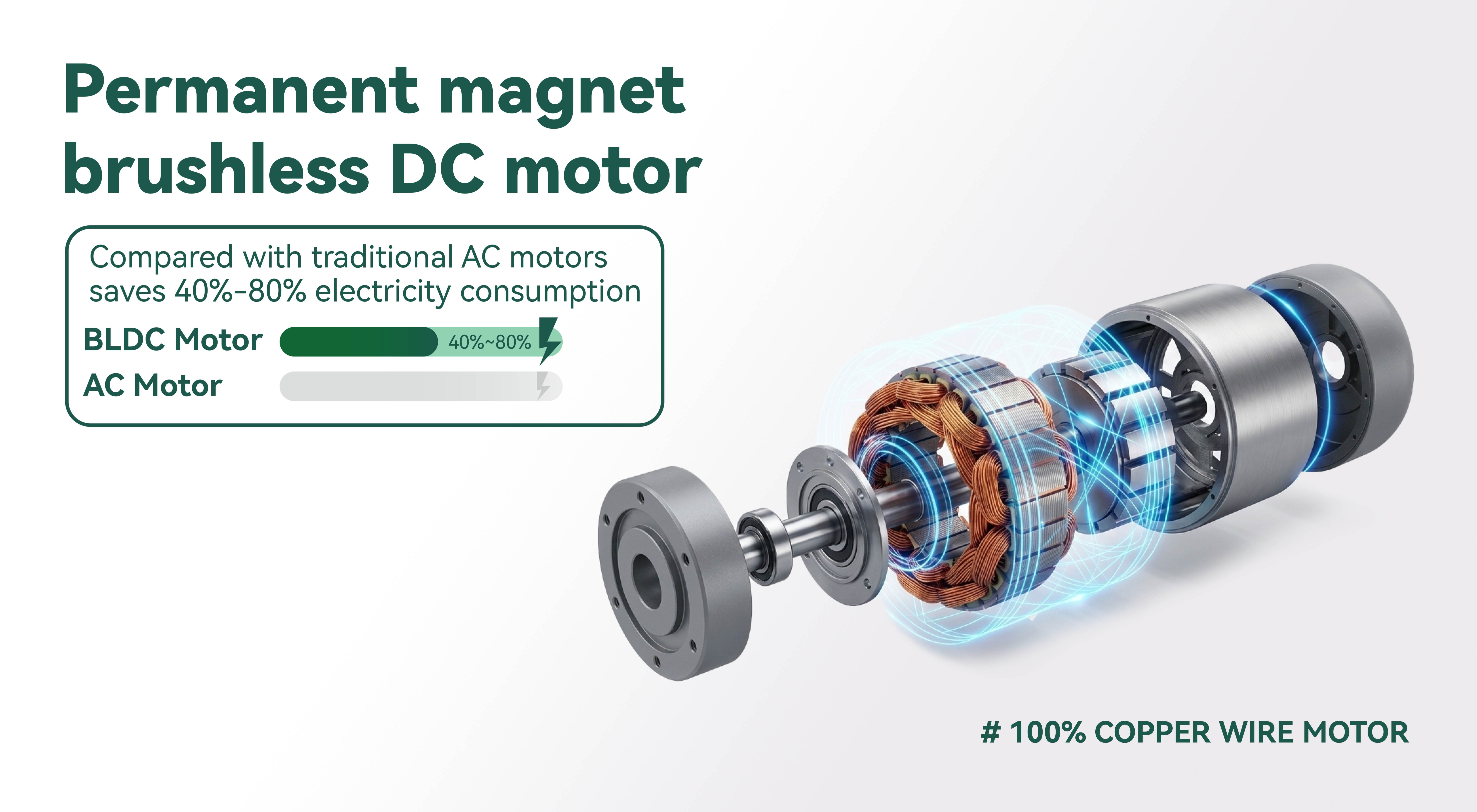 permanent magent brushless DC motor